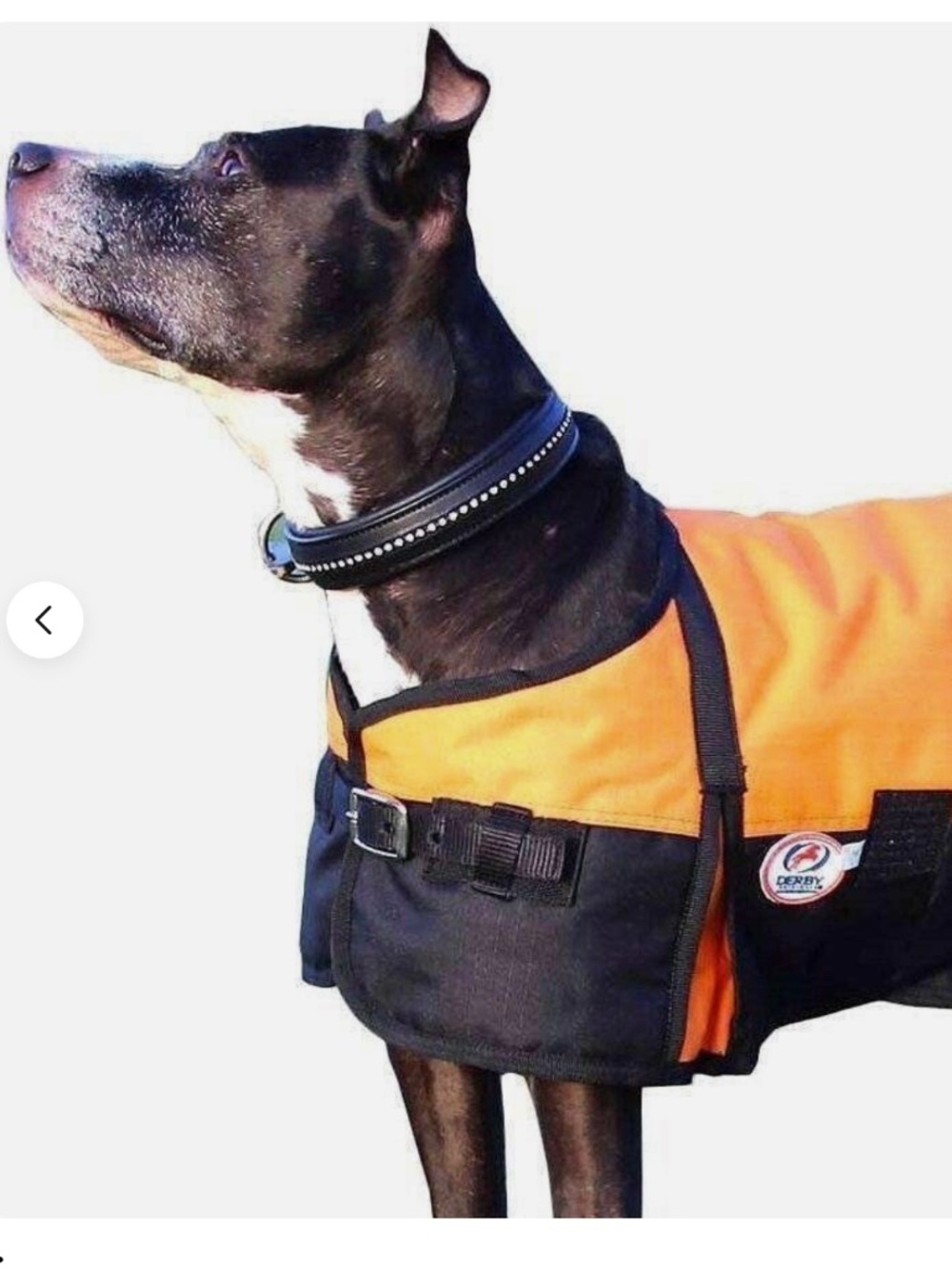 Derby Originals Horse Tough 600D Ripstop Waterproof Reflective Winter Dog Coat
